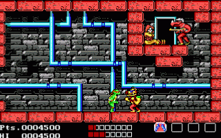 צבי הנינג'ה